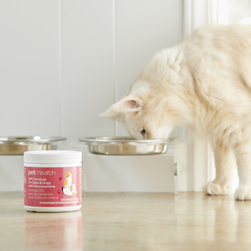 nutraMetrix&reg; Pet Health OPC Formula for Cats & Dogs with Glucosamine