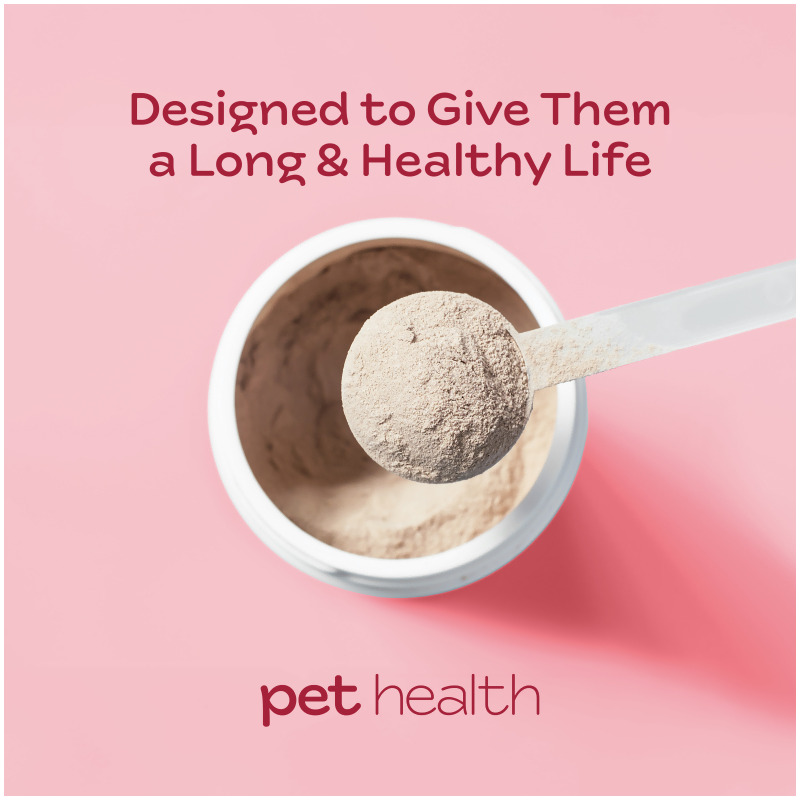 nutraMetrix&reg; Pet Health OPC Formula for Cats & Dogs with Glucosamine