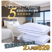 【尊貴版】飯店級立體羽絲絨枕（100%純棉防絨面料 ‧ 高級羽絲絨填充）-10入(不適用超商取貨)