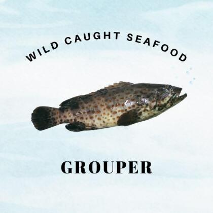 Frozen Wild Caught Sabah Grouper 