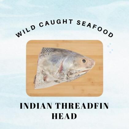 Wild Caught Sabah Indian Threadfin Head 