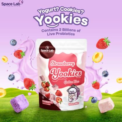 Space Lab Mango Freeze Dried Yogurt Cookies 19g
