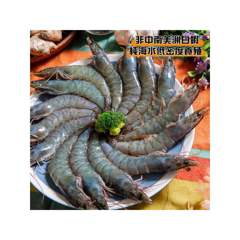 巨無霸白蝦蝦后約18公分共3盒 (免運組)加碼贈整蝦霸燒賣1盒