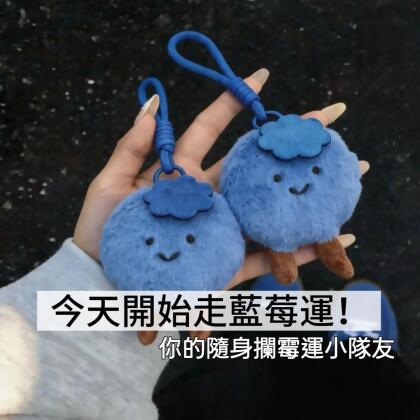 一起「藍莓運」攔霉運藍莓毛絨掛件 