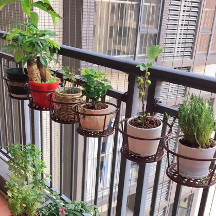 楓林宜居 家用陽臺養花架盆栽植物室內陽臺吊蘭綠蘿花盆架欄桿花架掛墻花架 