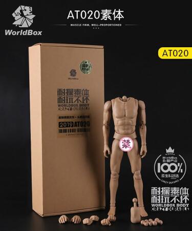 Worldbox 1/6兵人素體模型 AT020 耐操素體 帶脖頭雕通用版 