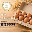 好愛雞