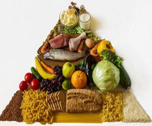 Carbohydrates for Nutrition