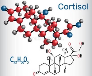 Cortisol and Stress