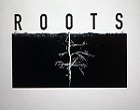 Roots 複合式的店家，白天是美髮沙龍，晚上是餐酒館，兩種不同的行業卻有一股和諧的氛圍。