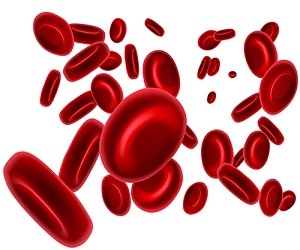 How The Body Obtains Glucose