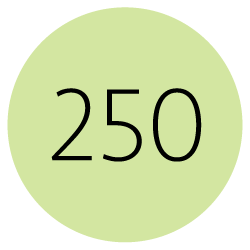 250