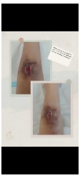 Customer Review Image 1 of 4, Zoom In
