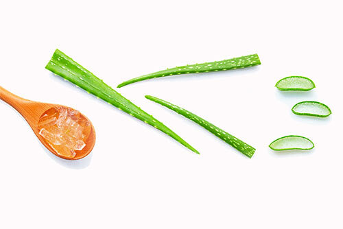 Aloe and wooden spoon