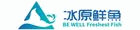 冰原鮮魚急凍