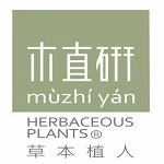 木直研 草本植人