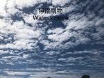 Waless store