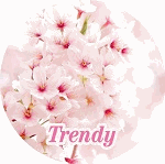 Trendy Global Lifestyle Department Store
