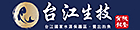 台江漁人