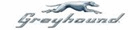 Greyhound