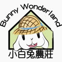 Bunny wonderland