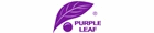 Purple Leaf
